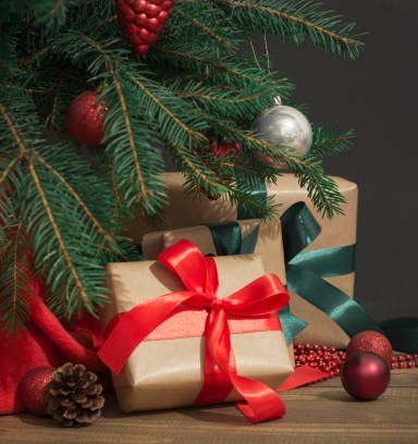 Holiday Shop | Christmas Jewelry & Seasonal Gifts